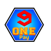 9onePay