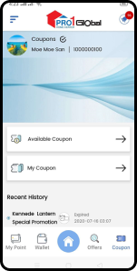 PRO1 Global coupon wallet